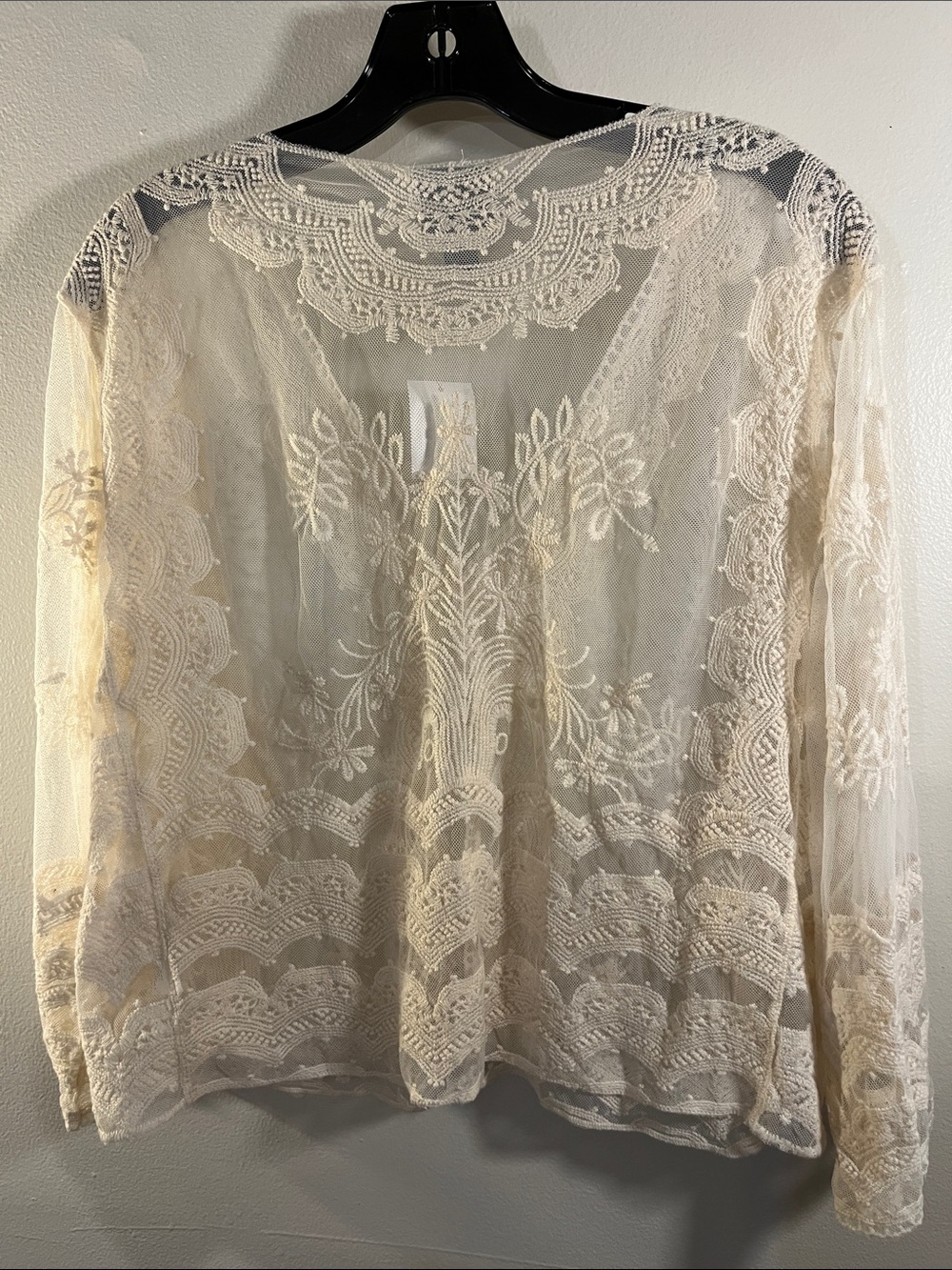 Rabbit Rabbit Rabbit Sheer Embroidered Lace Button-Front Top in Cream - Picture 3 of 4